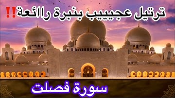 سورة فصلت//وكأنك لم تسمعها من قبل ! بأداء وترتيل جميل ومريح
