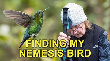 The Hike From Hell for a Rare Hummingbird