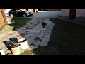 VID 20250325 160816