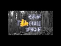 杣ブランドイメージ動画