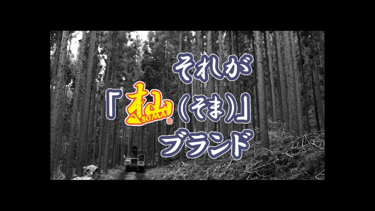 杣 SOMA チェンソー防護用 チャップス T004D 送料無料 西村ジョイオンラインショップejoy ホームセンターの通販ejoy イージョイ