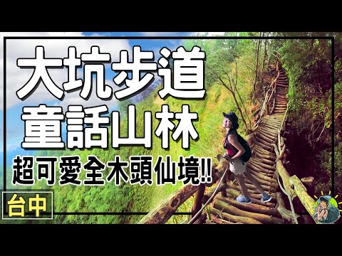 全木頭建造的森林步道？就在台中阿！童話秘境裡可以練體力？！#大坑步道