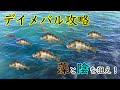 【メバリング】身近な場所でもデイメバルは釣れます、、、