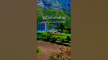 قرأن كريم راحة نفسية #اكسبلور #islamic_video #تلاوة #المصحف #trend #duet #aslam