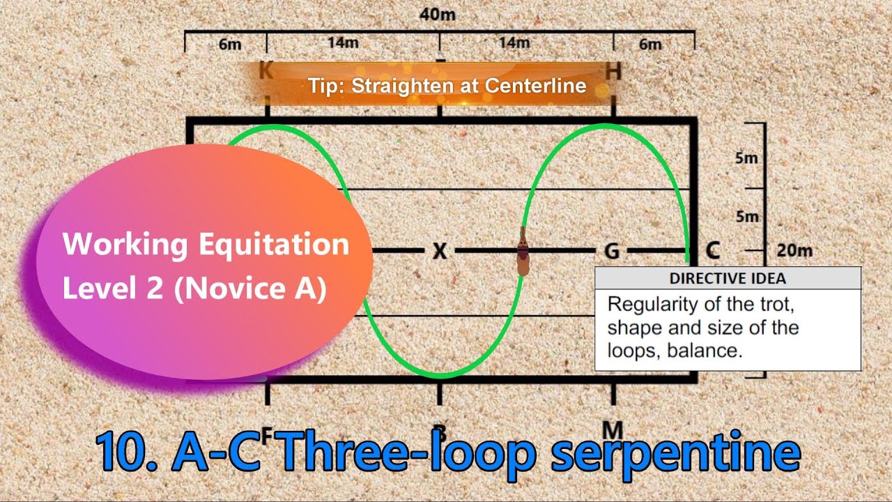 United States Rules for Working Equitation WE Dressage Test Level 2 ...