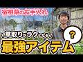 【放置NG】春の宿根草のお手入れと草取りが一気に楽になる方法を紹介します!!【除草】【草刈り】