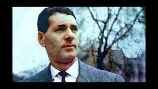 Zaim Imamović Negdje U Daljine