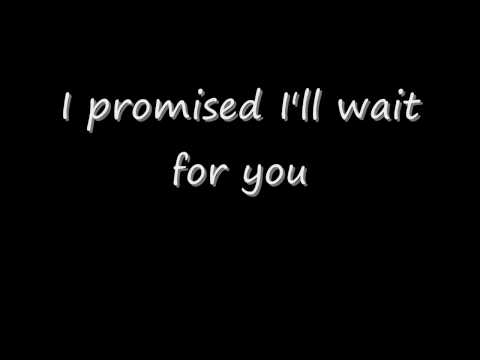 I Promised Myself- Basshunter Lyrics