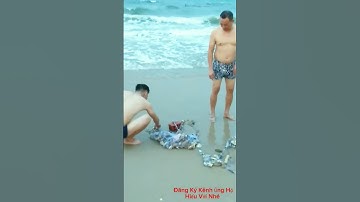 Thả Lưới Bắt Cua & Cá Khi Biển Động Sóng To Như Thế Nào,