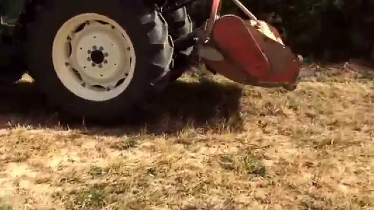 Viticultura - Manejo de cubierta vegetal. San Martín de Unx - Navarra - España