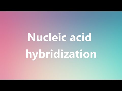 Nucleic acid hybridization