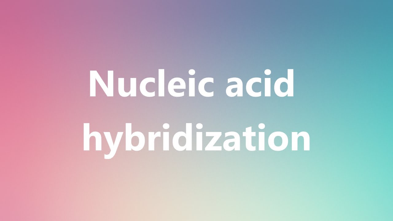 Nucleic acid hybridization Medical Meaning and Pronunciation YouTube
