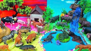 Farm vs Forest vs Savanna: Learn Animal Habitats with Diorama