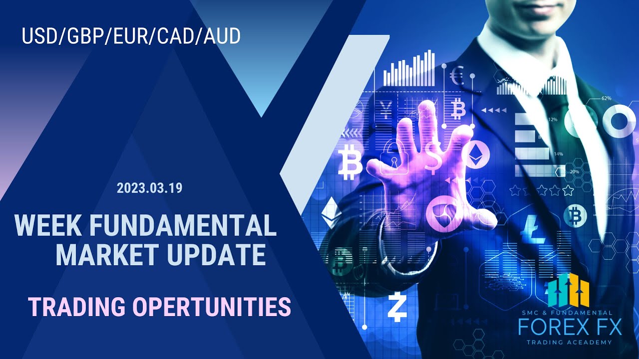Discover How to Make Big Gains with This Week's Forex Forecast fundamental trading