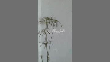 سورة إبراهيم.