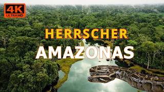 Amazonas Wildlife 4K | Faszinierende Tierdokumentation aus der Wildnis