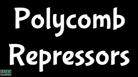 Polycomb Repressors | Polycomb Proteins | PRC 1 | PRC 2 | Polycomb Group Proteins |