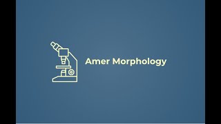 Morphology Quiz 22 for Lab staff and Clinical Pathologist-QAS
