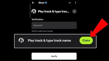 Blum Track Quest | Play Track & Type Track Name | Blum Track Quest Verify Code| Blum Track Quest