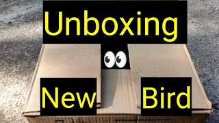 Unboxing New Birds|Birds Farm In Tamilv2Birds|