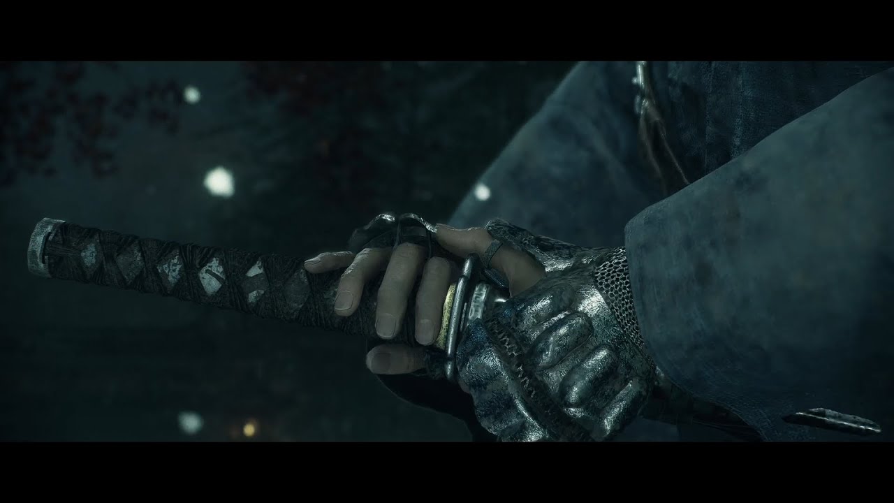 Rise of the Ronin - All Bosses No Damage (Midnight)