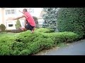 Basic Parkour Stunts