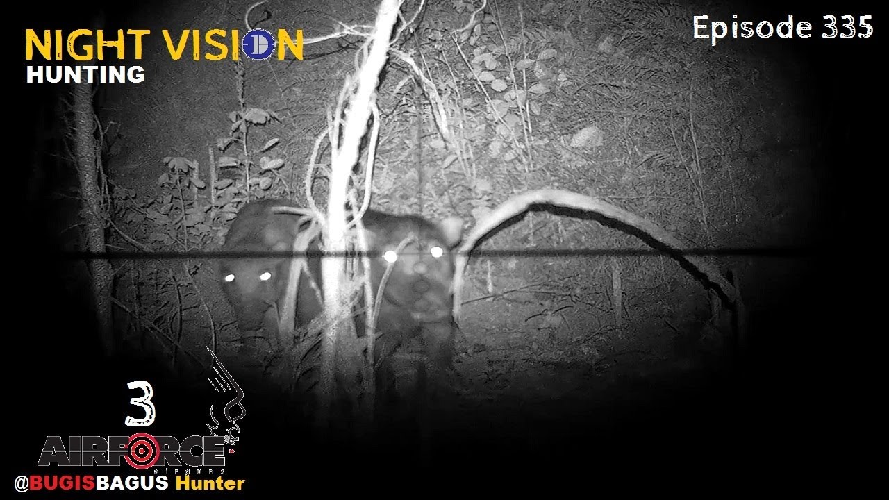 Nyanggong Babi Hutan, Ep335