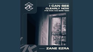 I Can See Clearly Now (The Rain Has Gone) (Acoustic Guitar Mix)