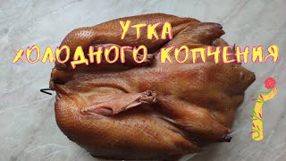 Утка холодного копчения в домашних условиях.