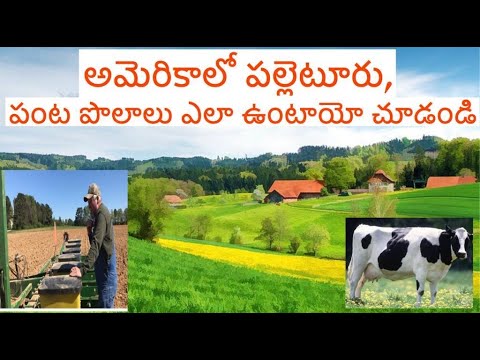 American Villages and Agriculture ఎలా ఉంటాయో చూడండి || Telugu vlogs from USA|| requested video