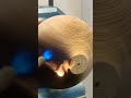 #reels #woodlove #shortvideo #satisfying #woodstyle #trendingshorts