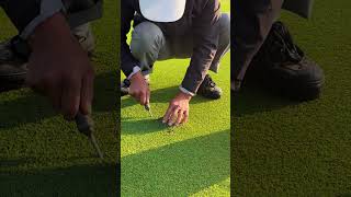 How to replace new grass #shorts