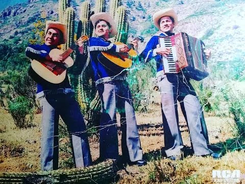 Los Manantiales -