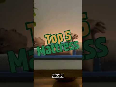 Top 5 Best