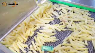 Fully automatic potato fries lines in pre-shipment testing.
