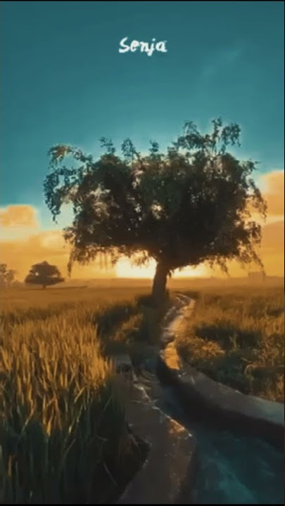 IF TOMORROW NEVER COMES!! Story WA keren 2021