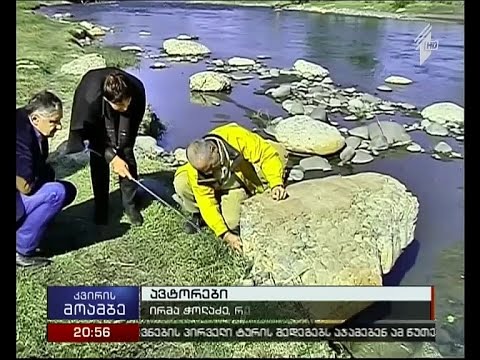 ცხოვრობდნენ თუ არა პრეისტორიულ საქართველოში დინოზავრები