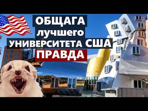 Видео: Печалби ли е университетът Туро?