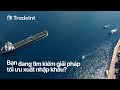 TradeInt Việt Nam - Nền Tảng Dữ Liệu Xuất Nhập Khẩu Toàn Diện Cho Doanh Nghiệp Việt Nam