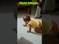 laddu चलना सीख रहा #shortsviral #ladduguglu #viralladdu #reelsindia #shortsviral #cute #cutebaby