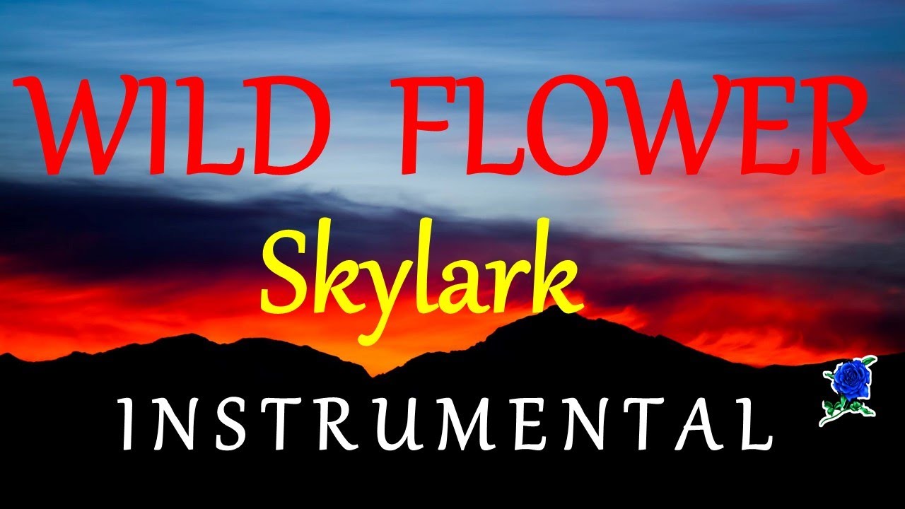 WILD FLOWER     SKYLARK instrumental HD lyrics