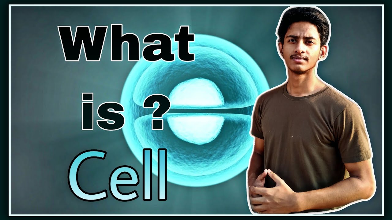 What is Cell? | Cell in Hindi