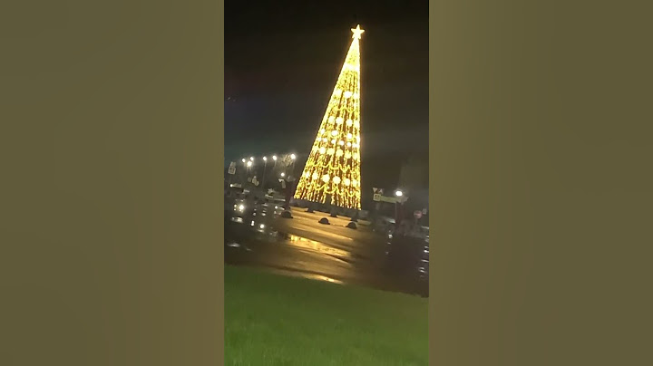 Раз! Два! Три!  Ёлочка гори🎄 #сновымгодом #елка2024