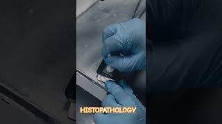 Embedding :#histology #pathology #tissueprocessing #stem #science #histotech #histopathology