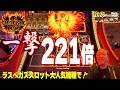 カジノ大人気機種！火の鳥が舞い降りた 今日は勝ちます【Phoenix Link/2026first】