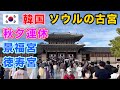 【韓国】物凄い人出で賑やかなチュソクの徳寿宮 景福宮 光化門 秋夕連休中の様子をお届けします！『韓国の今をお伝えするコリエンタTV』と韓国を歩く Seoul Korea