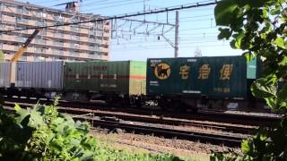 EF210-147号機牽引    貨物列車     茨木~千里丘にて