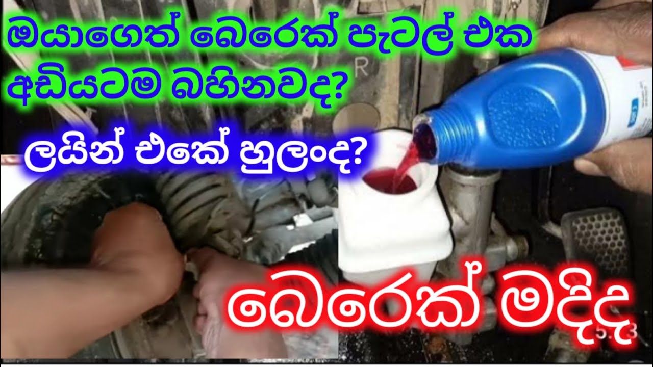 ත්‍රිවිල් එකේ බෙරෙක්  මදිද ? පැටල් එක අඩියටම යනවද ? 👇👇 බලමු. #threewheeler