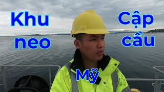 Vlog#58 Khu neo ở Mỹ và quá trình cập cầu tàu dài 229m .