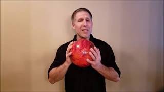 Ball Bowler Mini Bowling information video